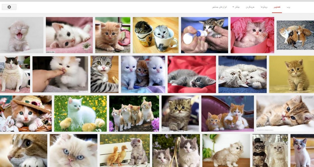 تصویر 2: نتیجه جستجوی «گربه» در بخش تصاویر گوگل